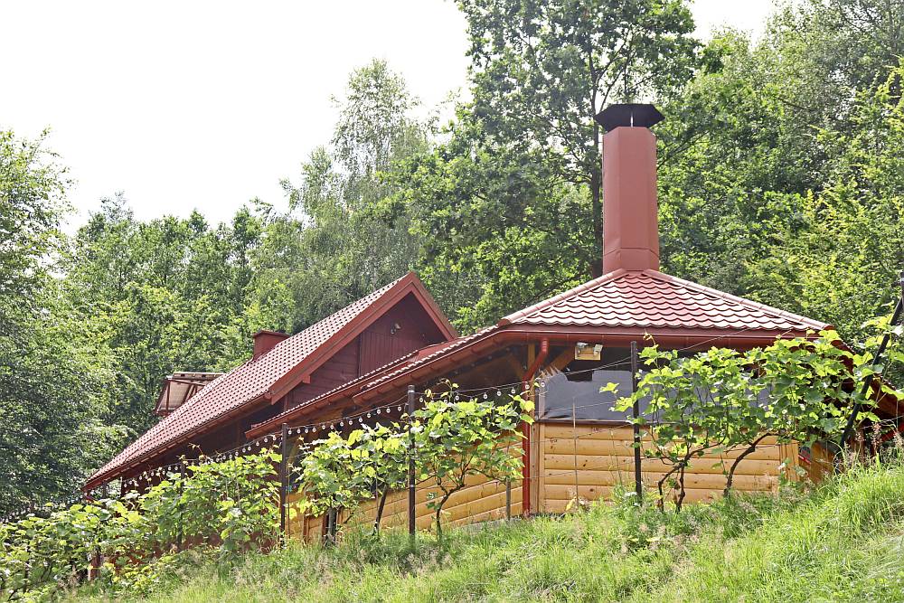 Od detoxu cyfrowego do odnowy biologicznej: jak domki w lesie z sauną i jacuzzi mogą odmienić Twoje życie